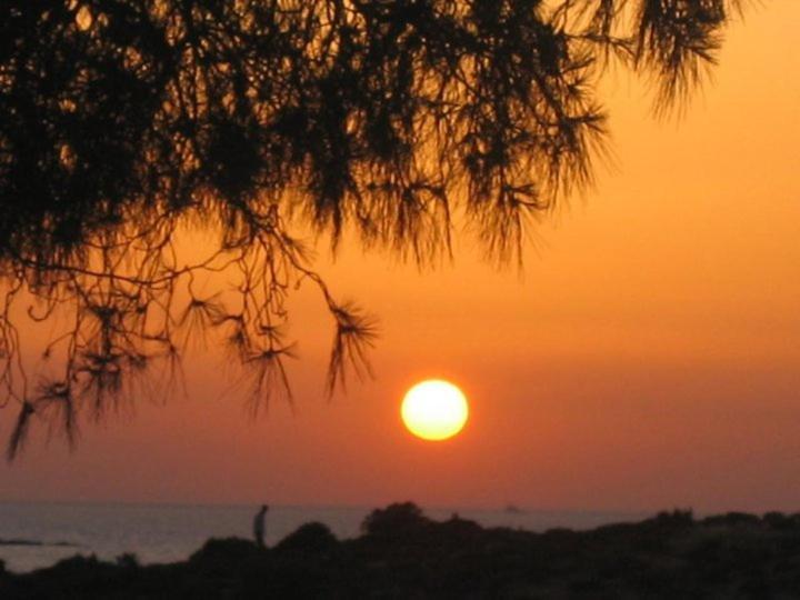 Teras Motel Foça Eksteriør bilde